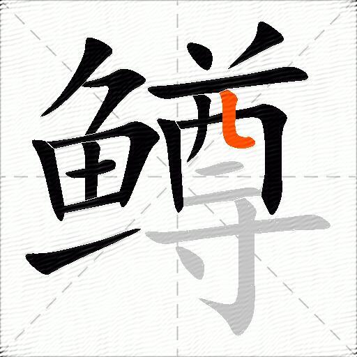 鳟