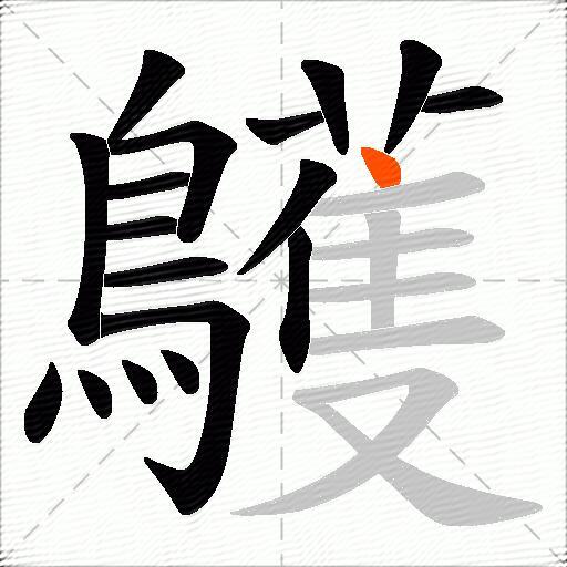 鸌