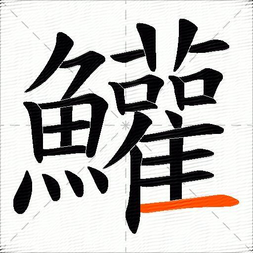 鱹