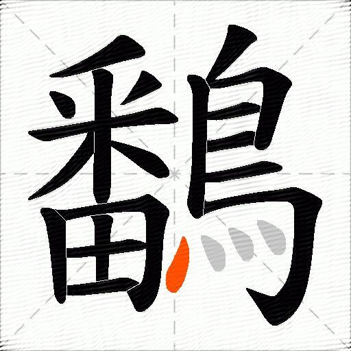鷭