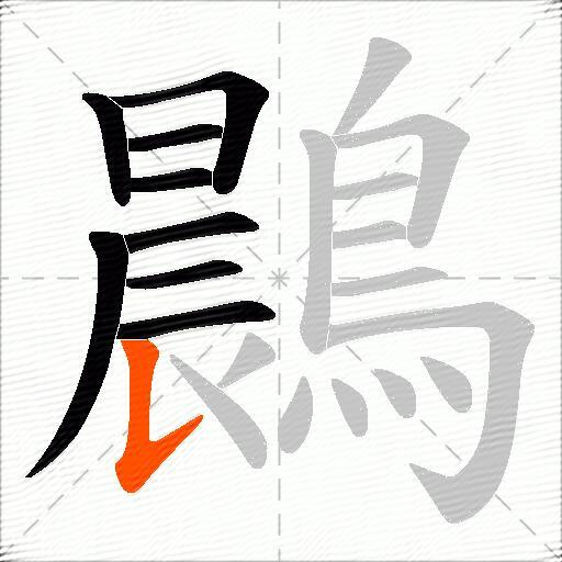鷐