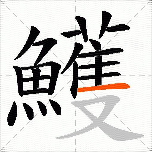 鱯