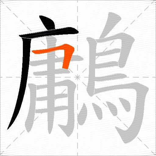 鷛