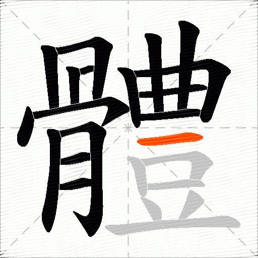 體