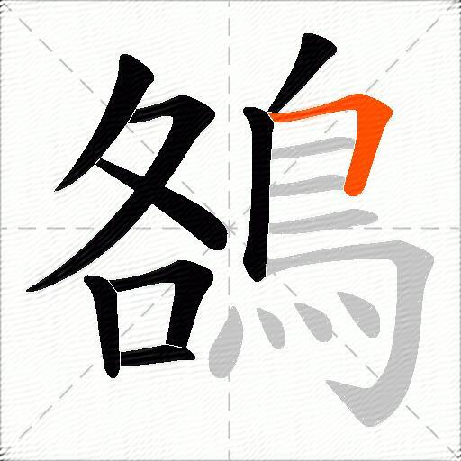 鵅