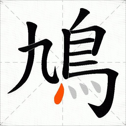 鳩