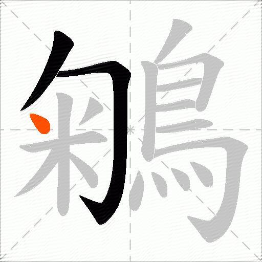 鵴