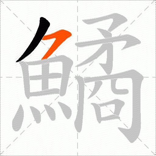 鱊