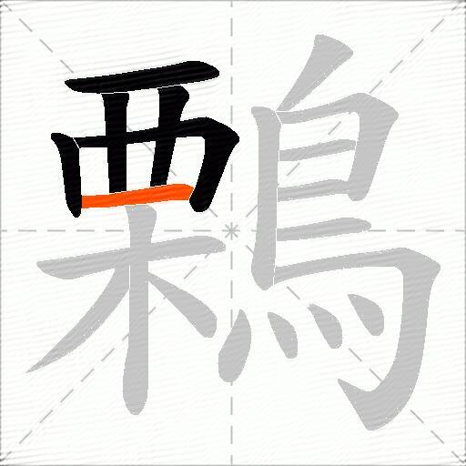 鷅