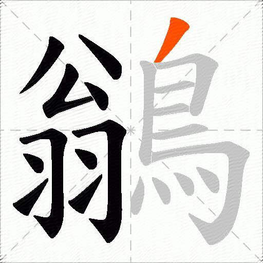 鶲