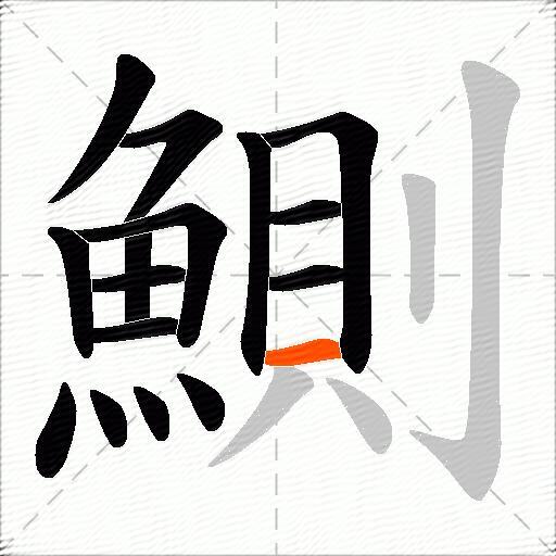 鰂