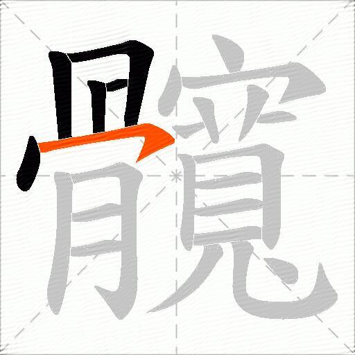 髖
