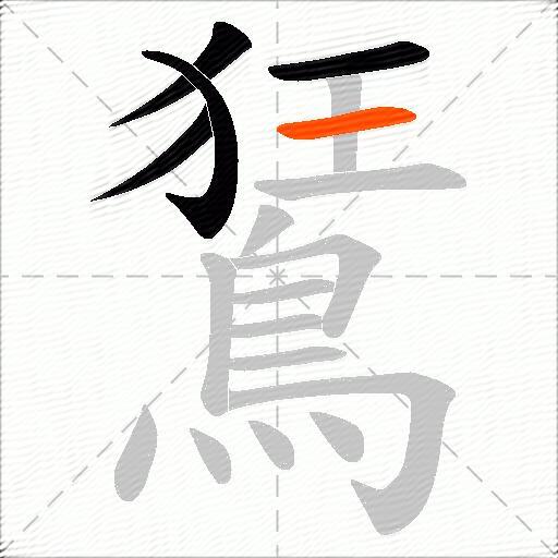 鵟