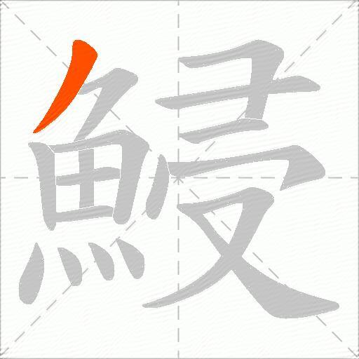 鮼