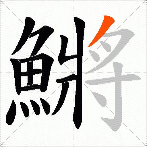 鱂