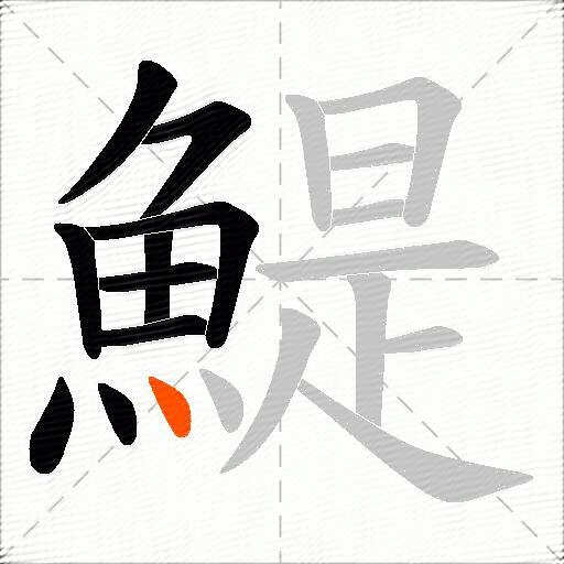 鯷