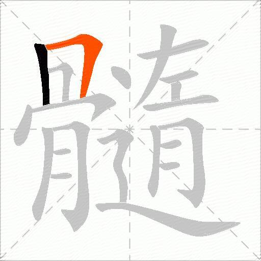 髓