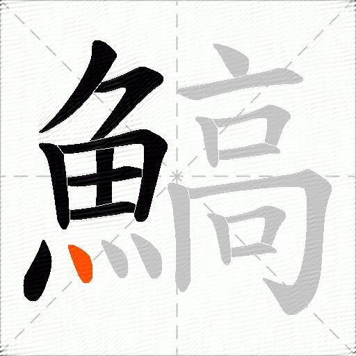 鰝