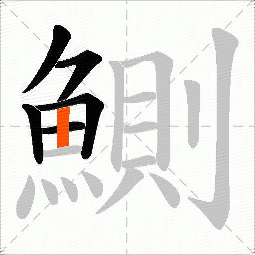 鰂