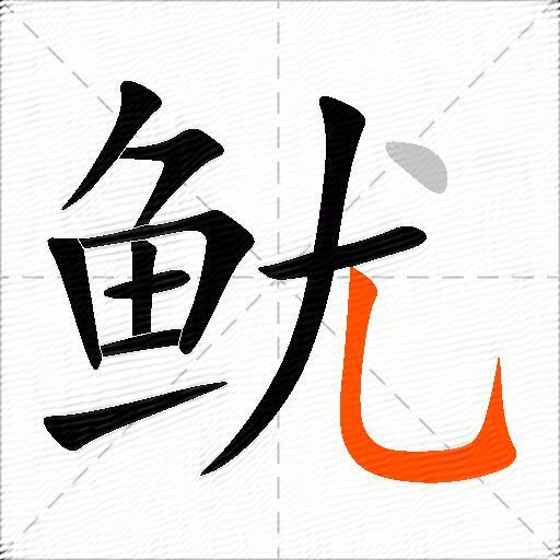 鱿