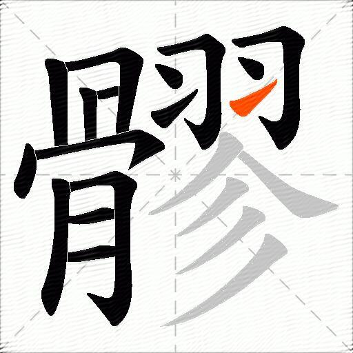 髎