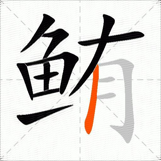 鲔