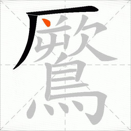 鷢