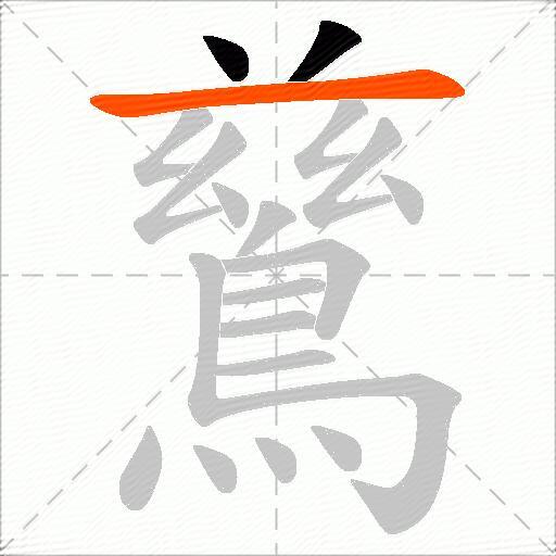 鶿