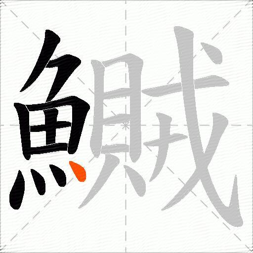 鱡