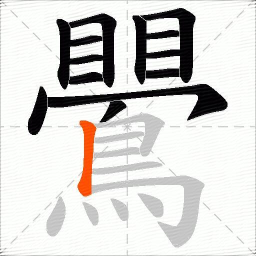 鷪