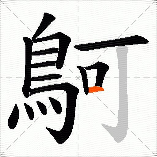 鴚