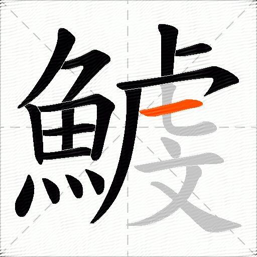 鰬