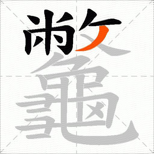 龞