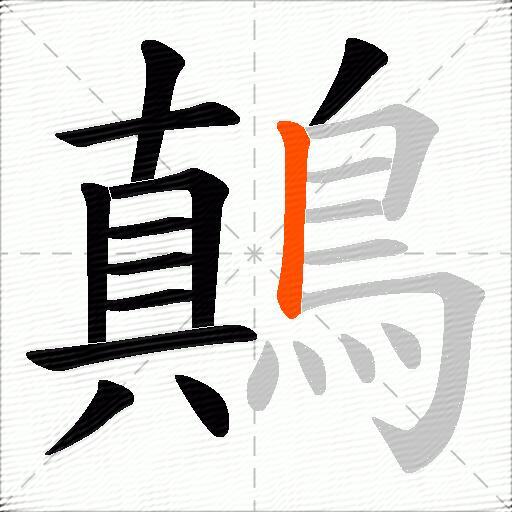鷏