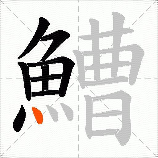 鰽