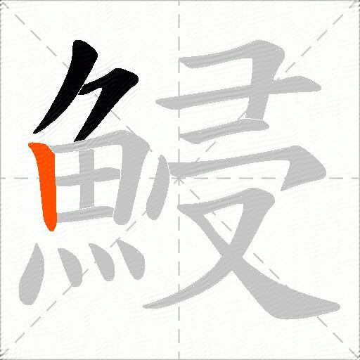 鮼