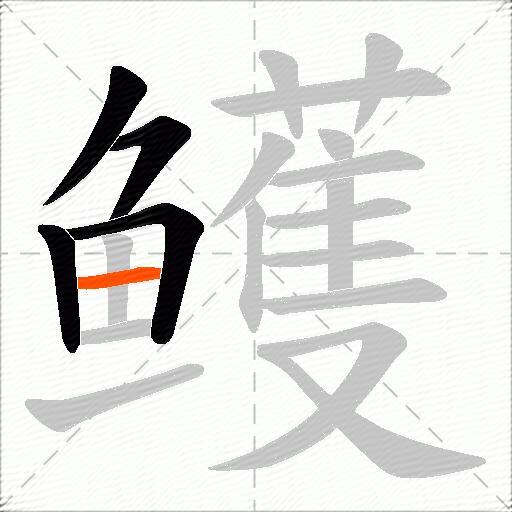 鳠