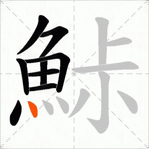 鮛