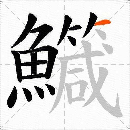 鱵