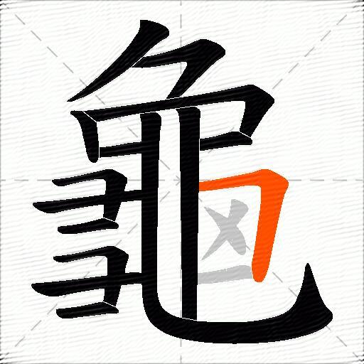 龜