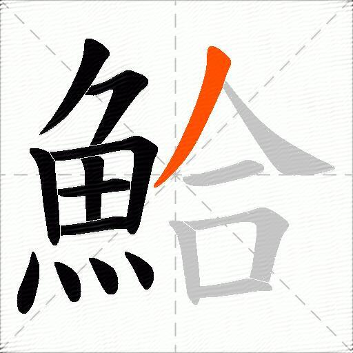 鮯