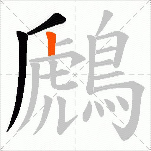 鷉