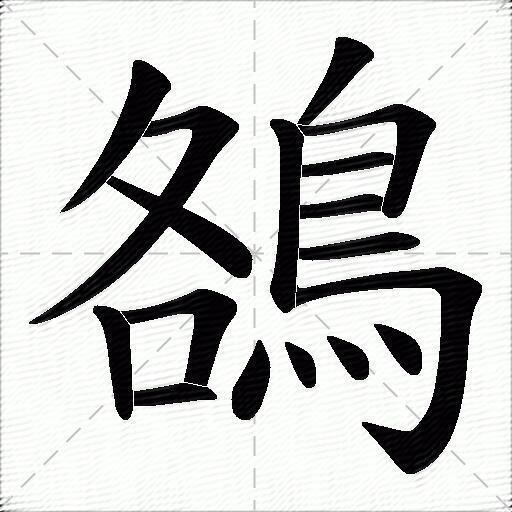 鵅