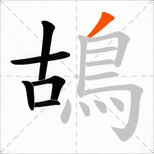 鴣