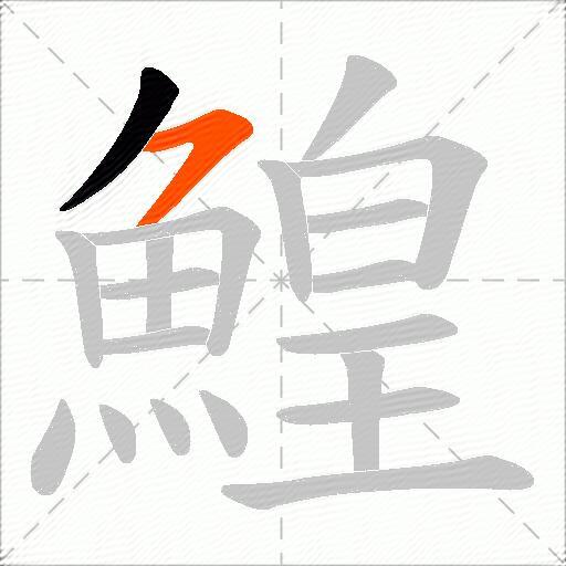 鰉