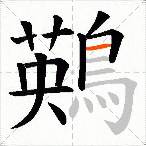 鶧