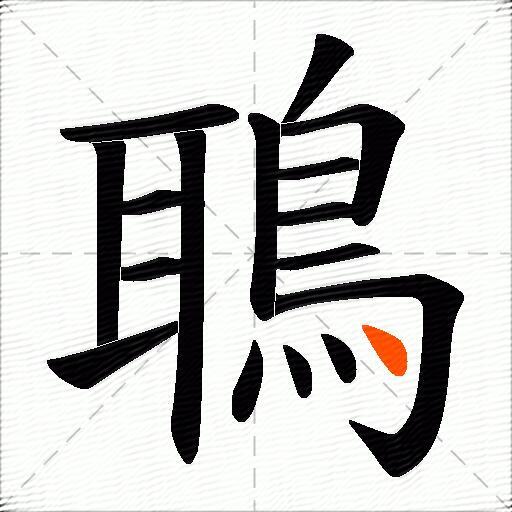鵈