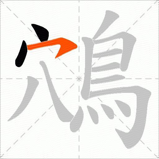 鴪
