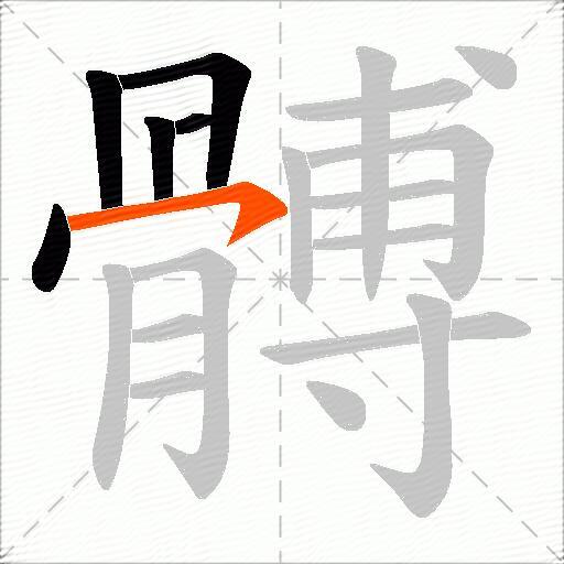 髆