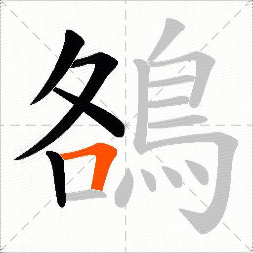 鵅